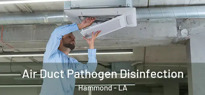  Air Duct Pathogen Disinfection Hammond - LA