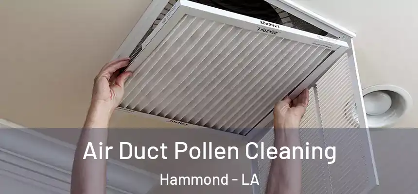  Air Duct Pollen Cleaning Hammond - LA