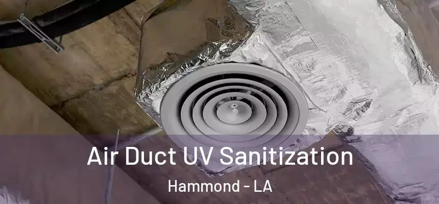  Air Duct UV Sanitization Hammond - LA