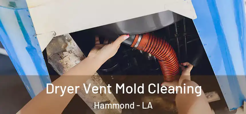  Dryer Vent Mold Cleaning Hammond - LA