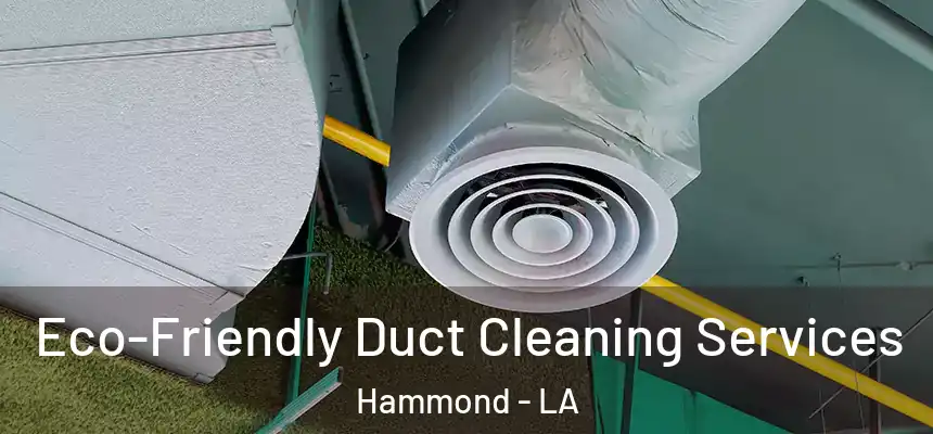  Eco-Friendly Duct Cleaning Services Hammond - LA