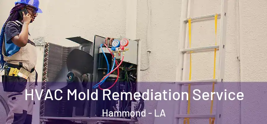  HVAC Mold Remediation Service Hammond - LA