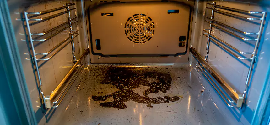 Our Dryer Vent Mold Cleaning Services in Hammond, LA