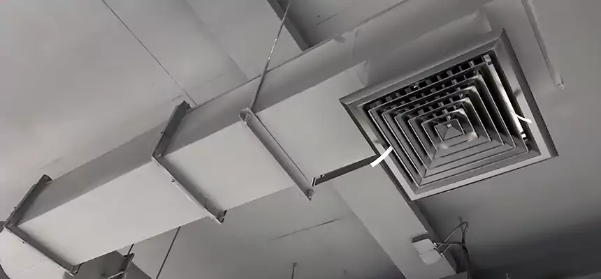 Our Pest Removal From Ducts Services in Hammond, LA