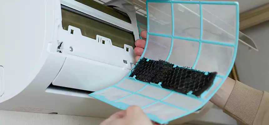 Gentle Ductwork Odor-Control Pet Dander Duct Cleaning in Hammond, LA