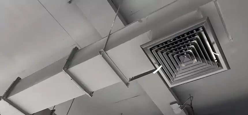 Our Rodent Droppings In Vents Services in Hammond, LA