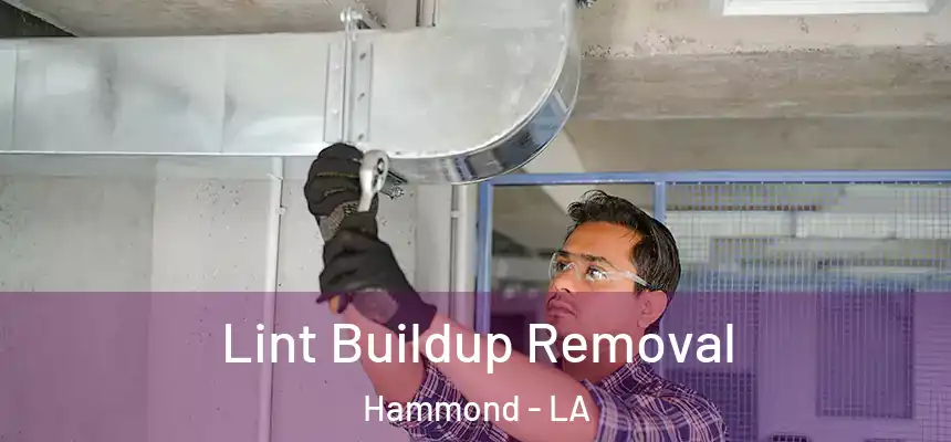  Lint Buildup Removal Hammond - LA
