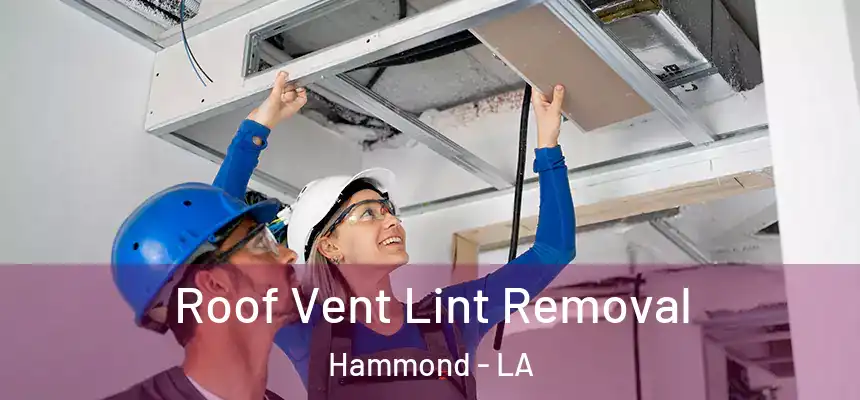  Roof Vent Lint Removal Hammond - LA
