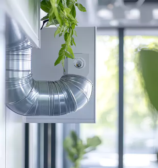 Professional Eco-Friendly Duct Cleaning Services in Hammond, LA