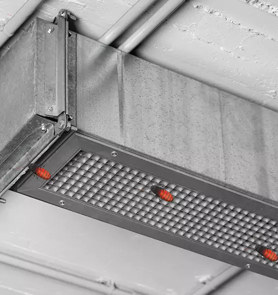 Affordable Insect Removal from Air Ducts in Hammond, LA