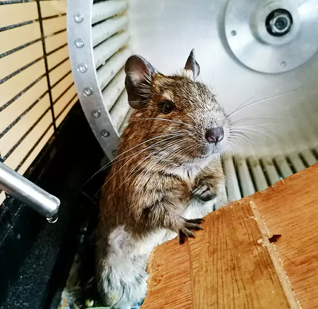 Why Homeowners & Businesses Trust Us Hammond, LA?