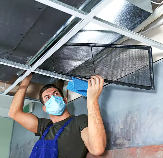 Why Homeowners Businesses Trust Us in Hammond, LA