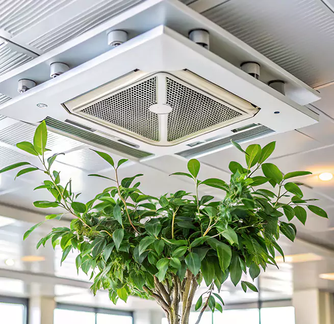 Why Homeowners & Businesses Trust Us in Hammond, LA